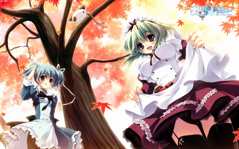 maid, uryu, sakuno, izumi, sewell, tsubasu, angelina, nanatsu, 2K, mashiroiro, blush, garter, symphony