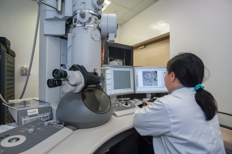 universiti malaysia sabah, healthcare and medicine, hairstyle, technician, one person, waist up, lab coat, computer monitor, laboratory, working, uniform