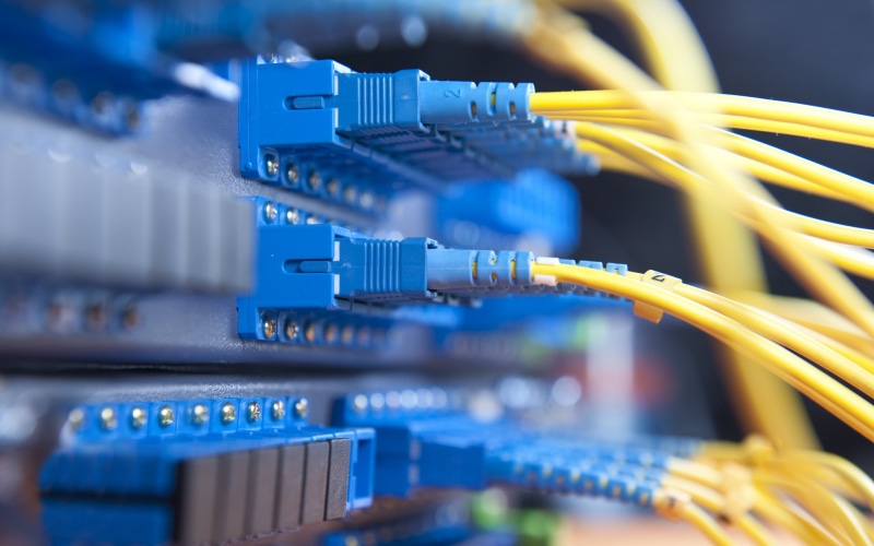 data, connection, global communications, connection block, network server, cable, technology, biology, network connection plug, router, blue, wireless technology