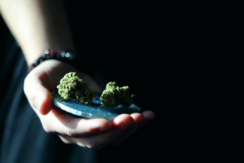 black background, illegal, medicinal, indoors, marijuana, body part, vegetable, close-up, food, flower, natural, marijuana - herbal cannabis, holding, one person