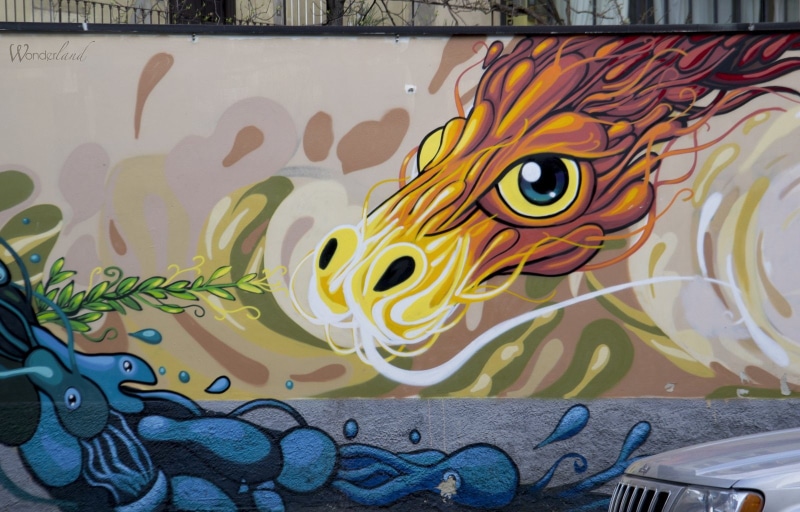 street, city, illegal, art, wall, 720P, graffiti, colors, graff, buildings, cities