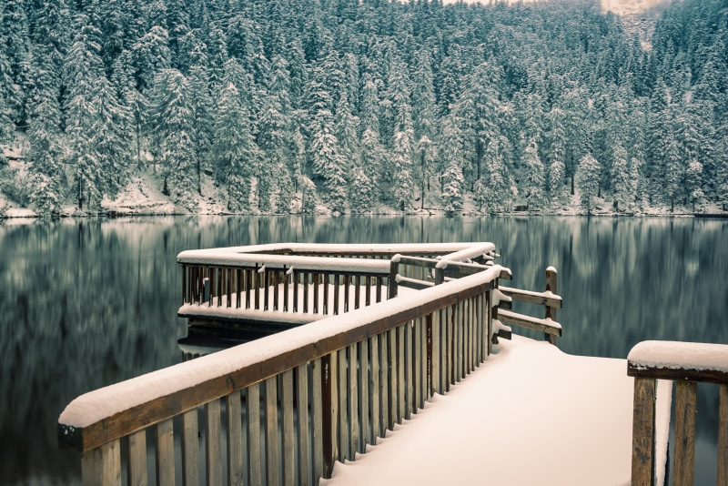 waterfront, waldsee, 5K, plant, water, web, rest, investors, scenics - nature, mummelsee, mirroring, bank, waters, railing, wood - material, winter, tranquility