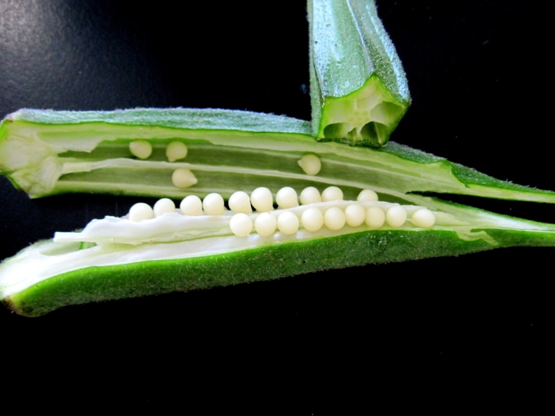 vegetarian food, seed, 4K, no people, okras, food and drink, surface, nature, okra, healthy eating, close-up, sliced, plant, studio shot, green color