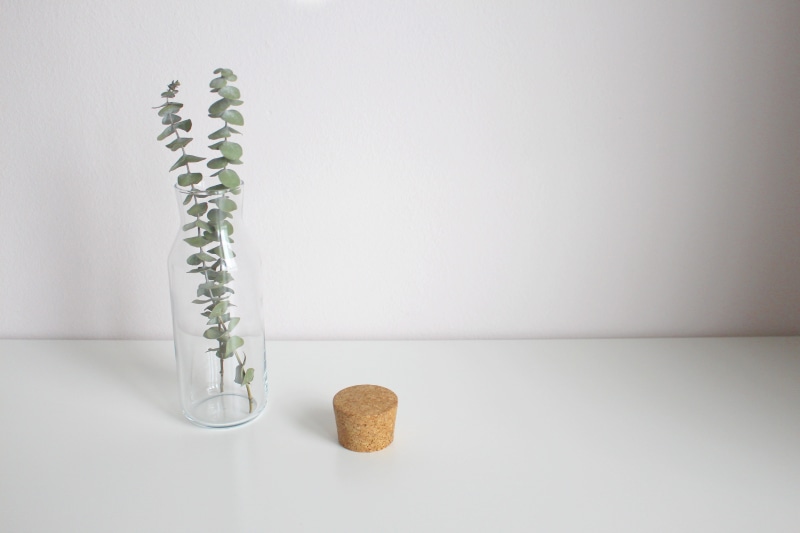 no people, white background, nature, healthcare and medicine, medicine, herb, budget, 5K, vase, herbal medicine, eshetisch, cork closure, natural condition
