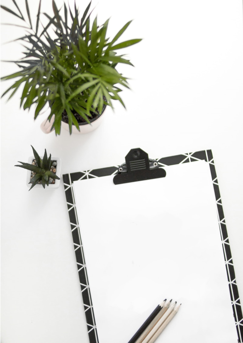 no people, beside, clipboard, white background, surface, potted plant, indoors, 2K, built structure, growth, studio shot, from above, pencils, close-up
