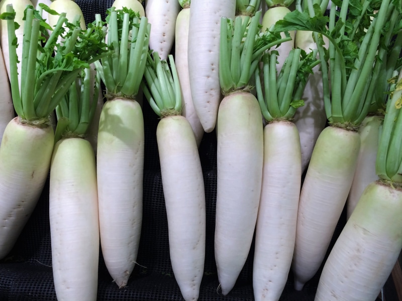 market, still life, directly above, food, 2K, radish, department, japan, heisei-cho, high angle view, close-up, vegetable, living, large group of objects