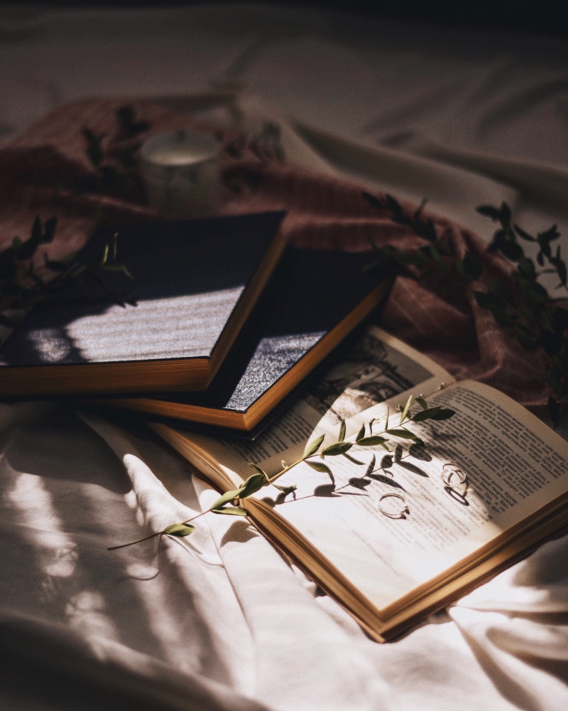bed, wood - material, indoors, selective focus, table, file binder, desk, diary, word, high angle view, 2K, canvas, dahlia, document, handwriting, plywood