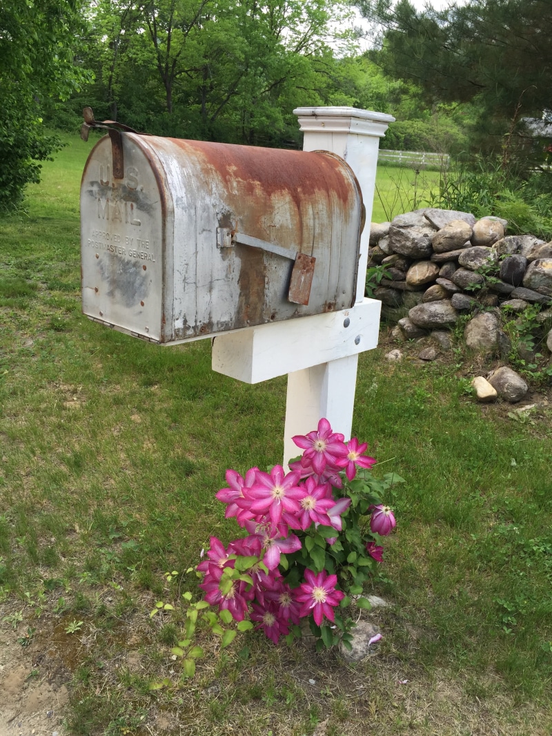 new england, stamp, trees, outdoors, isolated, gray, address, design, flowering plant, outdoor, news, nature, tranquility, metal, clemetis, street, symbol