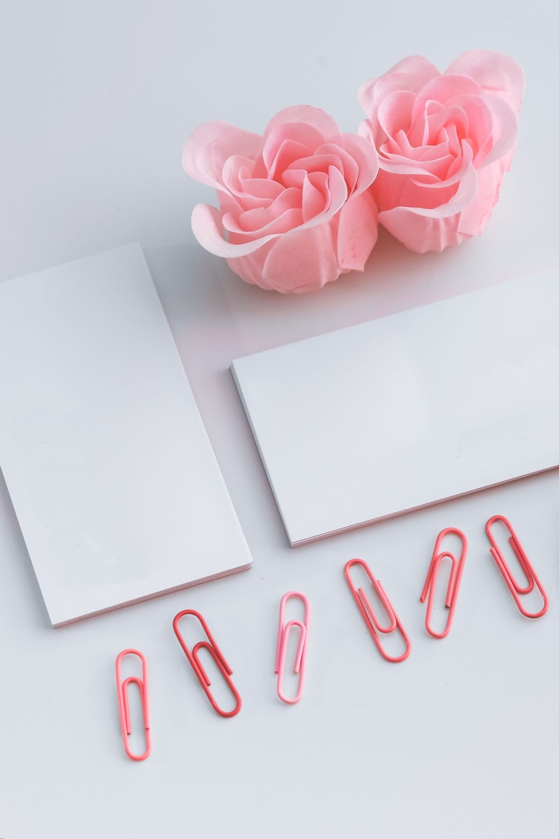copy space, romance, valentines day - holiday, plant, rose, communication, femine, message, copy paste, little, 2K, mockup, heart shape, paper, high angle view