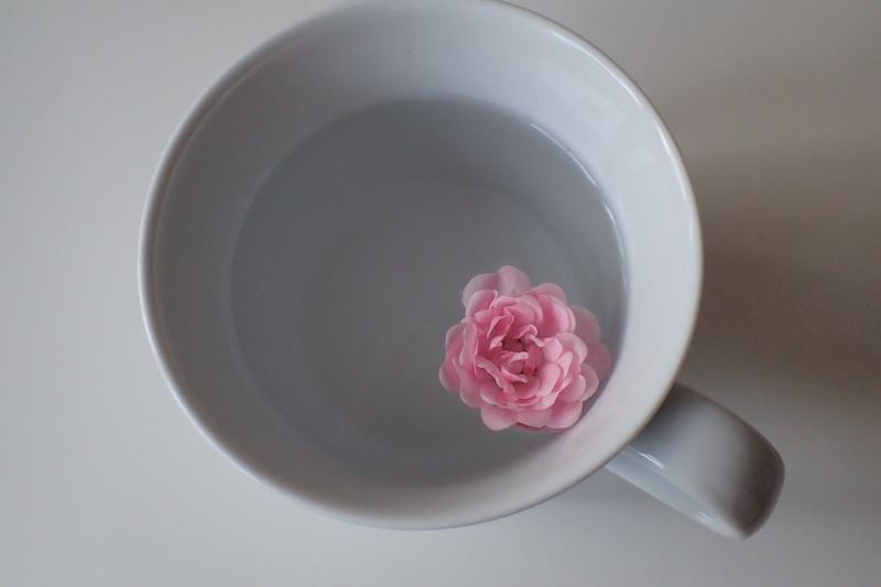 1080P, cup, flowering plant, no people, easter egg, rose - flower, beauty in nature, porcelain, flower head, pen, feminine, wing, egg cups, stripes, close-up