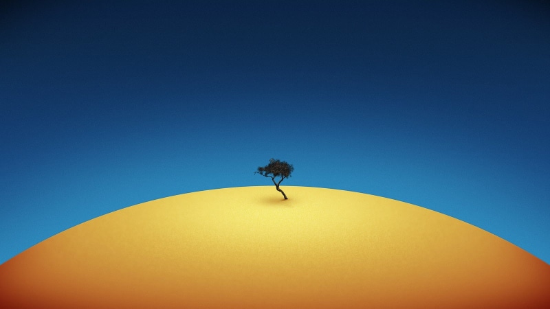 sky, nature, colored background, plant, animal, single object, outdoors, blue background, invertebrate, trees, copy space, sustainable resources, blue