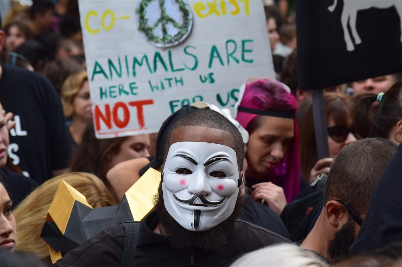 political, protester, democracy, activism, adult, rally, men, 4K, protestor, animal welfare, dom, day, animal rights, sign, protest, movement, urban, group