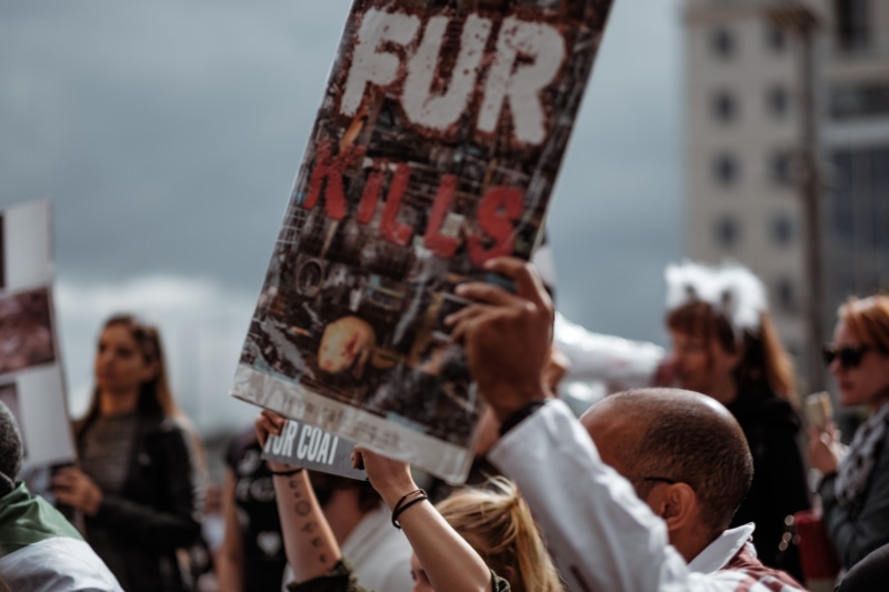 people, poster, kills, hand, women, 4K, fur, men, focus on foreground, text, fashion, architecture, holding, human body part, outdoors, day, demonstation
