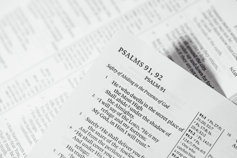 page, psalms, data, note, bible, business, trading, communication, selective focus, indoors, western script, number, occupation, 5K, no people, white