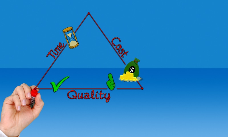 organization, efficiently, project triangle, process management, realize, human body part, stakeholders, innovation, nature, business, animal, 4K, part of the goal