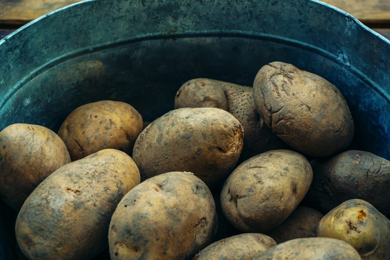 market, trade, high angle view, potato, agriculture, healthy eating, roi, raw potato, no people, hard work, land, growth, abundance, day, yield, natural
