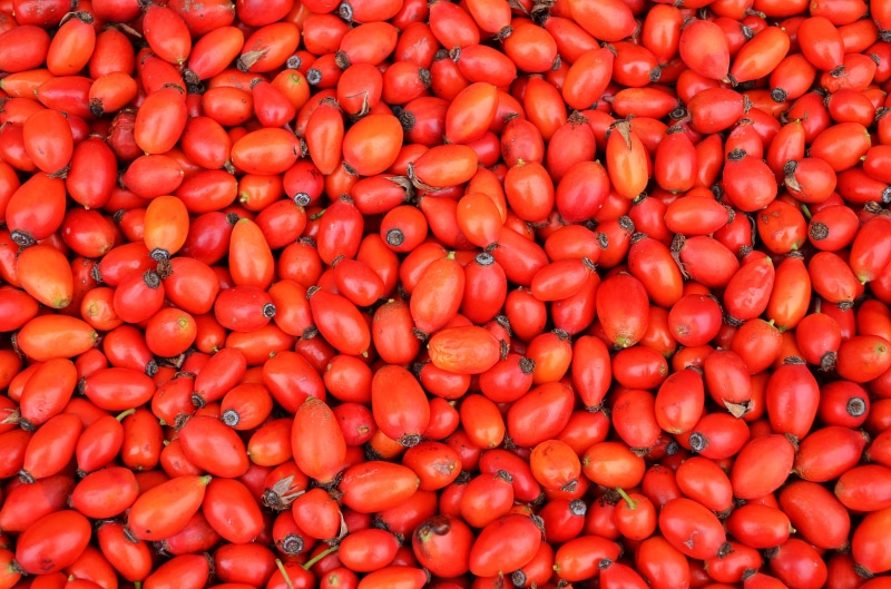 the fruit of the rose, wellbeing, retail, consumerism, tomato, sale, herbs, for sale, nature, mature, plant, health, wild rose, fruit, hard, abundance