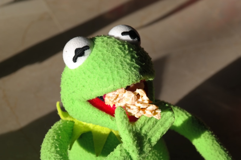 animal wildlife, leaf, chocolate cornflakes pile, frog, chocolate cornflakes cakes, softness, 5K, representation, eat, art and craft, animal, nature, toy