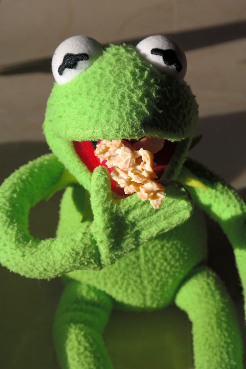 no people, animal, knit hat, stuffed toy, close-up, chocolate crisp happen, craft, beauty in nature, art and craft, humor, chocolate cornflakes, plant part