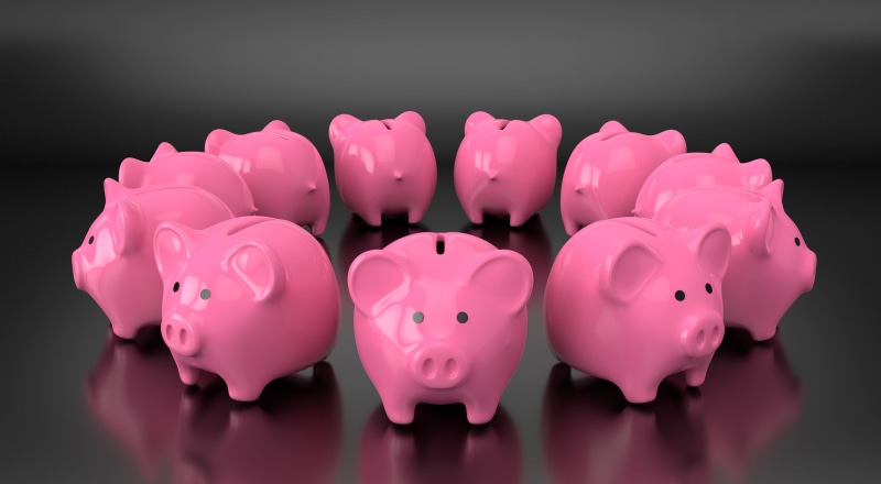 cash, piggybank, coin bank, bank account, safety, animal representation, economy, rich, profit, savings, home finances, finance, business, dollar, investing