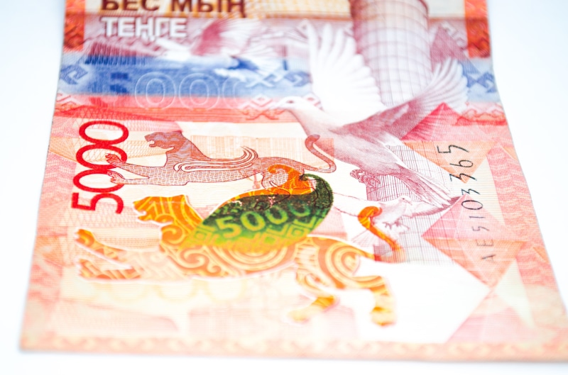 purchase, payment, 4K, loan, human body part, global communications, wealth, commerce, paper Currency, kazakhstan, profit, hand, investment, close-up