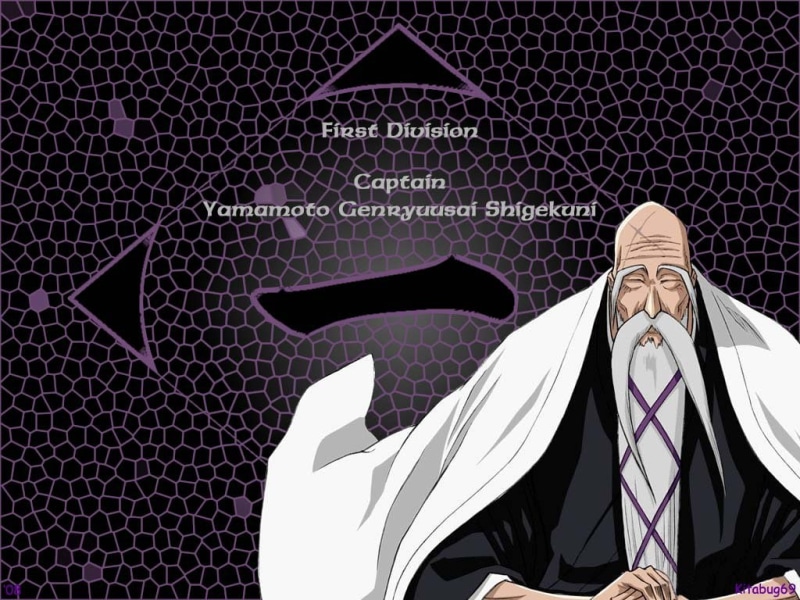 anime, captain commander, captain, 480P, rare, commander, art, bleach, thx, hd, rate up
