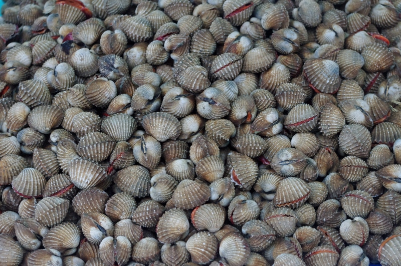 abundance, textured, thailand-market, close-up, fish business, freshness, for sale, outdoors, market, no people, 4K, exotic food, tropical, full frame