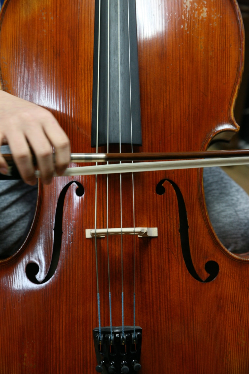 expert, musician, wood, playing, close-up, played, arts culture and entertainment, instrument repair, repair, indoors, musical instrument, hand, one person