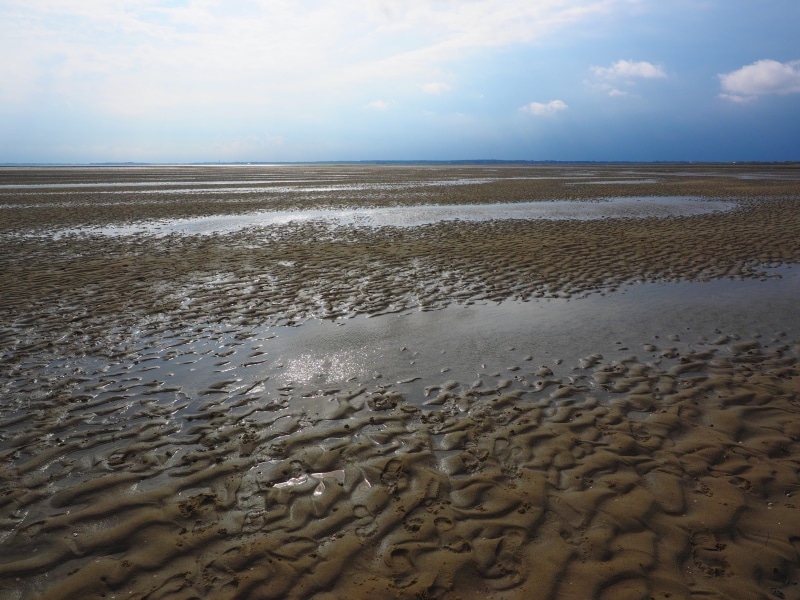 arid climate, nature, no people, islands, wet, föhr, sea, low tide, expert watt leader, horizon, beauty in nature, environment, outdoors, beach, sand watt