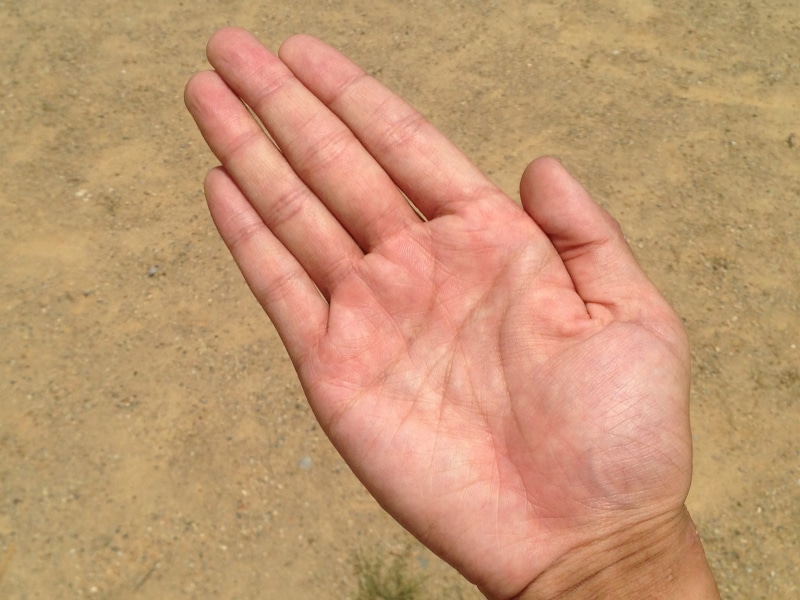 single, happy, pot, spot, kishibe, a healthy, human finger, high angle view, fatigue, efficiency, care, good luck with money, este, body part, lifeline
