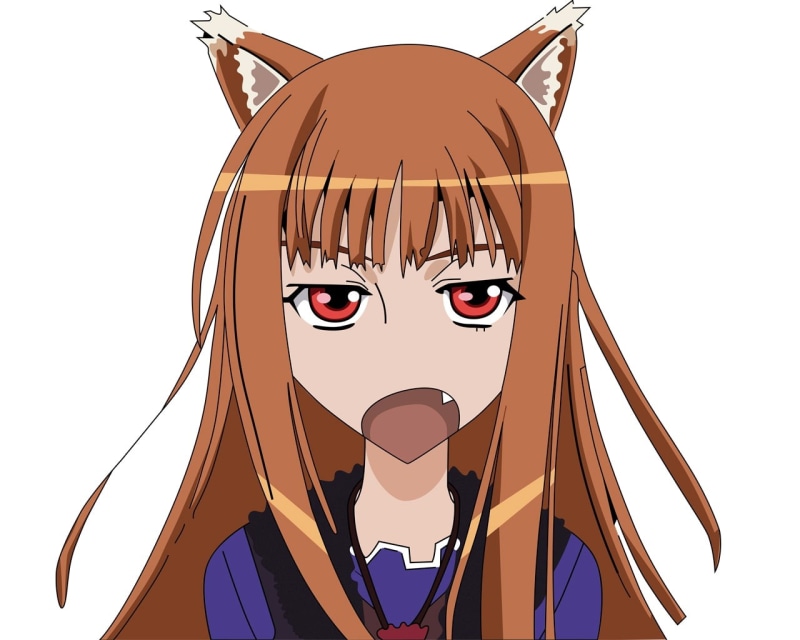 holo, spice, wise, wolf, Spice and Wolf, Holo The Wise Wolf, hot, 720P, anime, art, hd, x