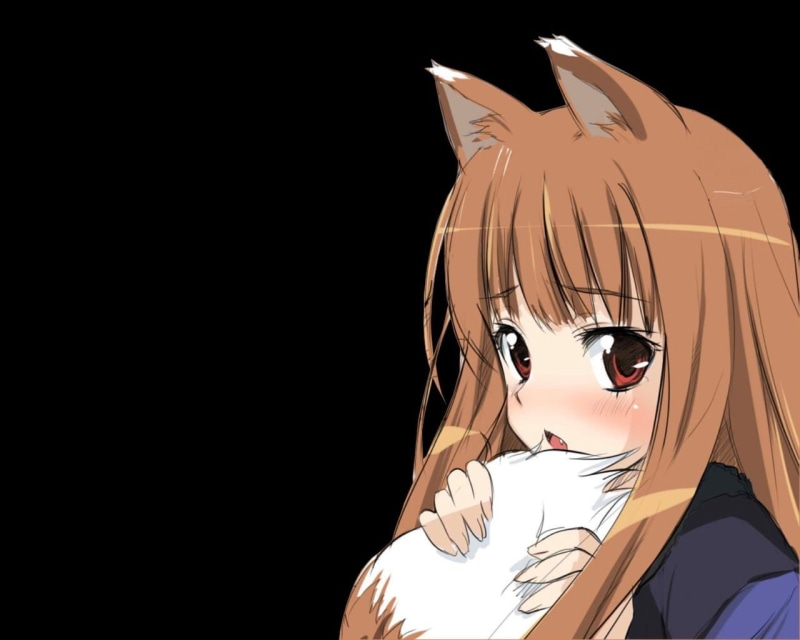 art, wise, animal ears, wolf, 720P, Spice and Wolf, spice, anime, ears, animal, hot, hd, x, girls, holo