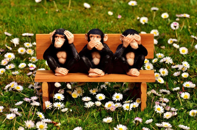 outdoors, funny, cute, mammal, figurine, day, flowering plant, 5K, not hear, people, animals, emotion, bench, three, positive emotion, couple - relationship