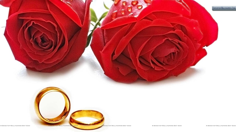 roses, red, love, rings, golden, wedding, together, 1080P, commitment, 3d and abstract, couple