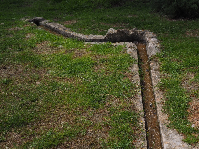 water channel, water diversion, animals in the wild, animal, land, wood - material, Water Pipe, tree, channel, water distribution, Water, animal themes