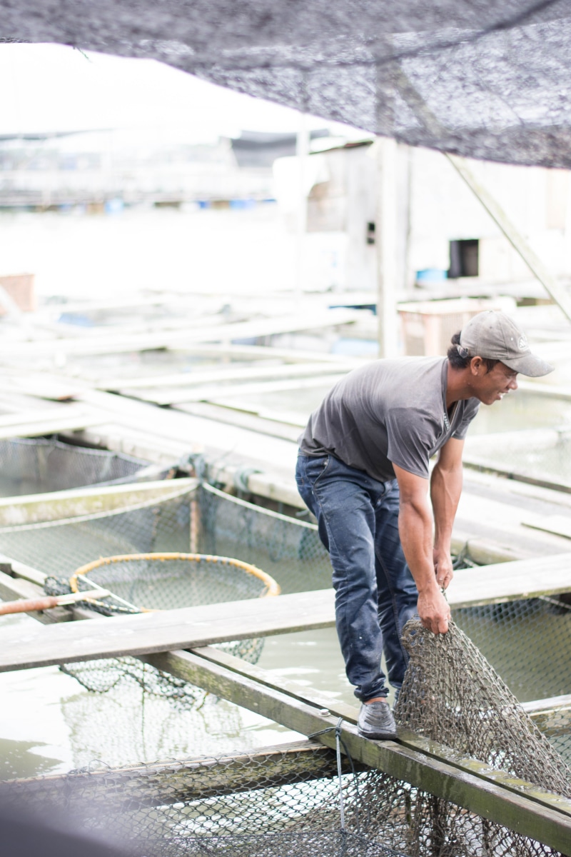 looking, railing, real people, focus on foreground, water, standing, mature adult, contented, fishfarm, one person, gains, casual clothing, easylife, architecture