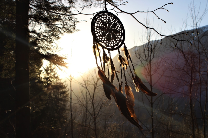 sunset, branch, sunbeam, dreamcatcher, basketball hoop, sunlight, silhouette, circle, promenade, day, hiking, basketball - sport, leisure, forest path