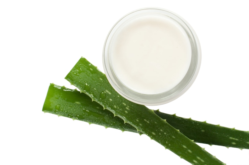 white background, cosmetics, drink, care, freshness, close-up, aloe vera, studio shot, eco, cut out, cosmetology, food, wellbeing, relax, eco-friendly