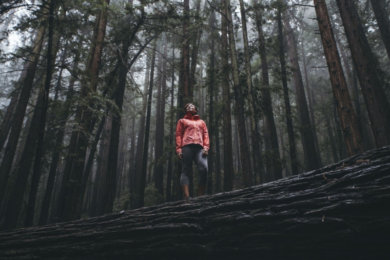 full length, people, tree, upwards, trunk, men, nature, landscape, hiking, leaves, adventure, forest, outdoors, woman, 8K, women, growth, tree trunk, woods