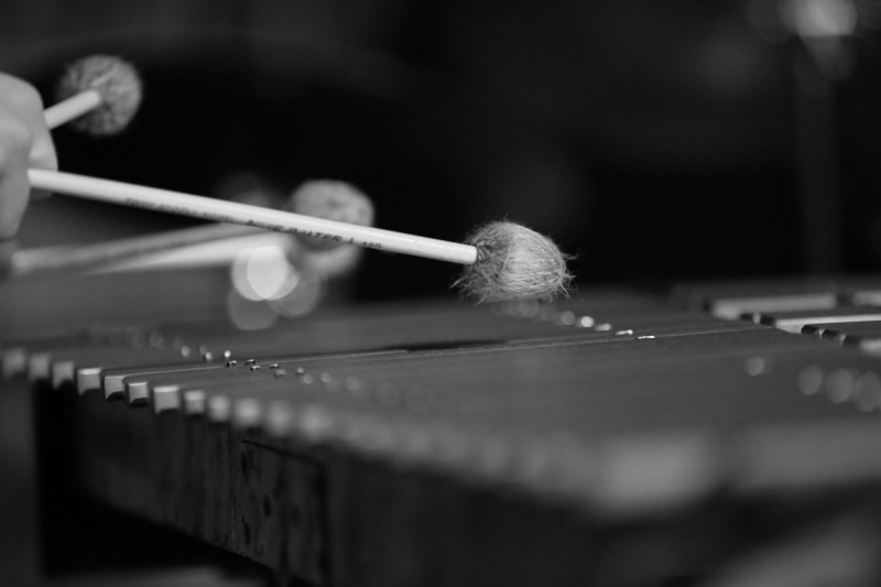 indoors, music, voghera, 5K, musical instrument, execution, instrument, jazz, skill, textile, thread, occupation, arts culture and entertainment, business