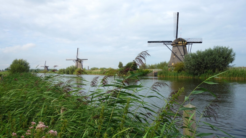 traditional windmill, grass, sky, canal, outdoors, landscape, dutch landscape, netherlands, windmills, renewable energy, cloud - sky, 5K, alternative energy