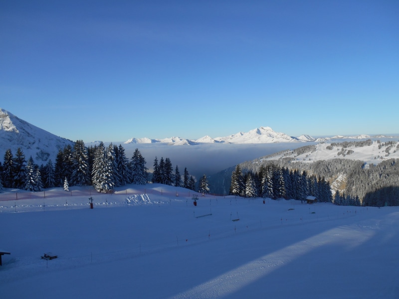 downhill, travel, outdoor, coniferous tree, cold temperature, nature, france, non-urban scene, resort, plant, tranquility, snowcapped mountain, pine tree