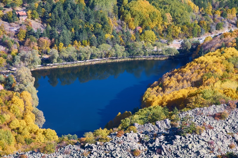 green, tree, lake, nature, peace, reflection, the leaves are, cold, sky, backgrounds, autumn flowers, yellow, 8K, background, no people, change