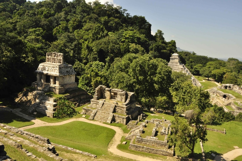 brown, the Mayan city, outdoors, plant, history, Palenque, no people, building exterior, old ruin, architecture, the past, temple, building, concrete, ancient civilizations