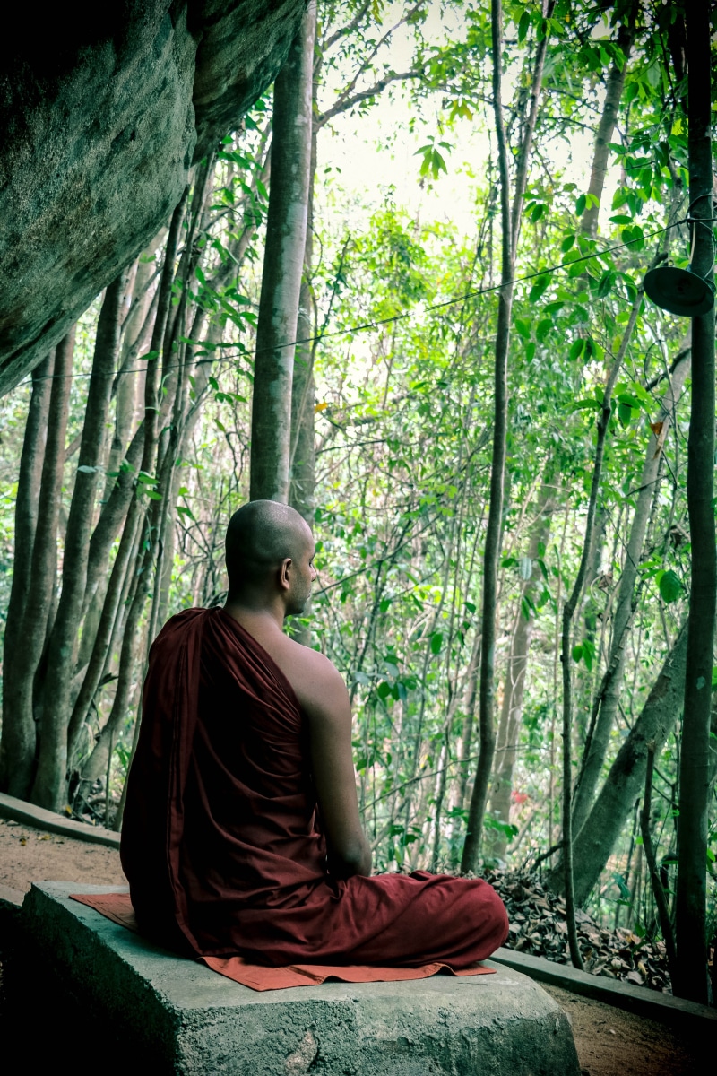 day, forest, young adult, meditation, bhikkhu, mahamevnawa, one person, plant, nature, land, sitting, sri lanka, woodland, trunk, tree, casual clothing