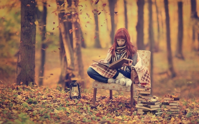 brown, land, sitting, cute, student, filter, plant part, daytime, front view, park - Man Made Space, young Adult, enjoyment, happiness, seat, trees, bench