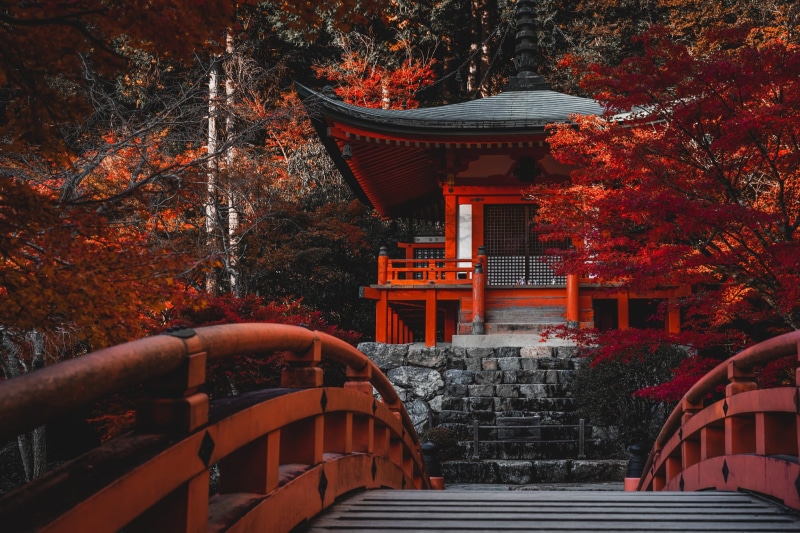 autumn, Japan, Kyoto, temple, trees, 1080P, bridge, Bentendo Hall, The temple Daigo-JI temple, Daigo-ji Temple