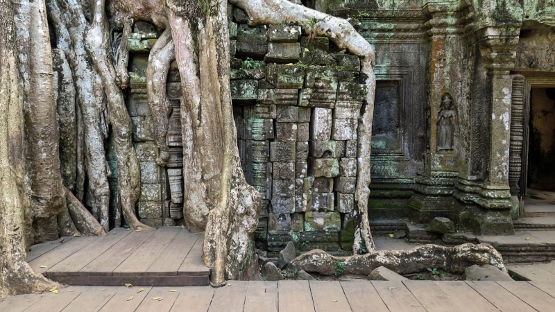 temple - Building, religion, no people, history, jungle, old, 2K, green, plant, gray, architecture, day, famous Place, ruined, khmer, building exterior