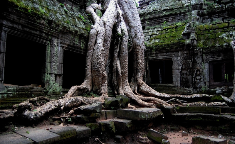 old ruin, gray, ruined, old, weathered, trunk, architectural column, angkor, growth, the past, old hindu temple, day, building exterior, root, history