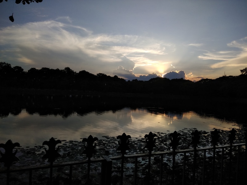 tree, reflection, sunset, cloud - sky, outdoors, lake, no people, scenics - nature, nature, sky, reflection lake, environment, 4K, rabindra sarobar lake